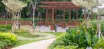 Park